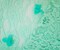 Pastel Teal Cotton-Poly Floral Applique Lace Mesh Knit Fabric By the Yard